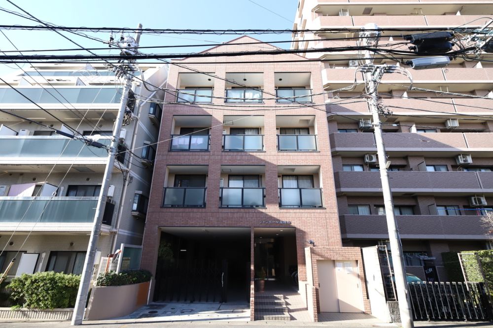 �V�����|�[����z�J �����O��