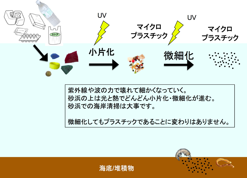 細かくなっていく様子