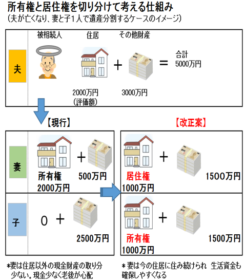 配偶者居住権